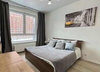 Сдаю в аренду квартиру студию, 24 м2, Екатеринбург, Полимерный переулок, метро Динамо