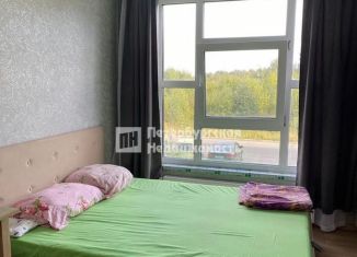 Сдам в аренду квартиру студию, 23.4 м2, Мурино, улица Шоссе в Лаврики, 67