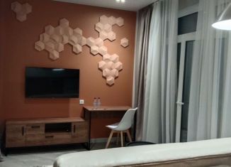 Аренда квартиры студии, 34 м2, Москва, улица Крузенштерна, 10к1, район Лефортово