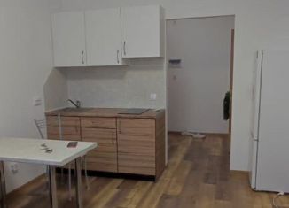 Продажа квартиры студии, 21.2 м2, Санкт-Петербург, Плесецкая улица, 10, ЖК Полис на Комендантском