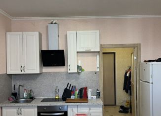 Квартира на продажу студия, 22.9 м2, Кудрово, Пражская улица, 15, ЖК Вернисаж