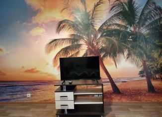 Сдаю 1-ком. квартиру, 33.5 м2, Кузнецк, улица Гагарина, 39