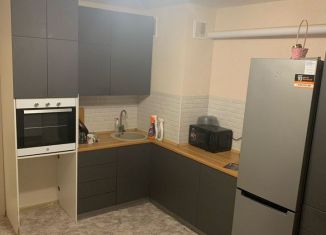 Сдам в аренду 1-ком. квартиру, 44 м2, деревня Куюки, 16-й квартал, 8