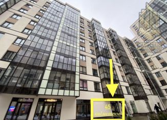 Сдается в аренду помещение свободного назначения, 45 м2, Санкт-Петербург, проспект Авиаконструкторов, 63