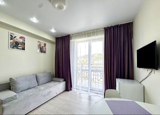 Аренда квартиры студии, 30 м2, Сочи, улица Тимирязева, 34Бк1, микрорайон Донская