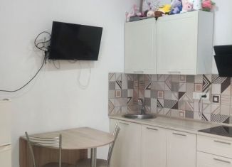 Квартира на продажу студия, 26 м2, Сочи, улица Гастелло, 28к1, микрорайон Голубые Дали