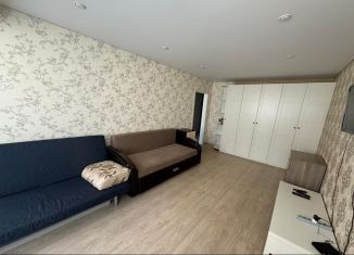 Аренда 1-комнатной квартиры, 52 м2, деревня Куюки, 3-й квартал, 14