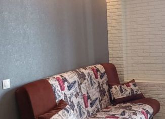 Сдаю квартиру студию, 24.4 м2, Мурино, проспект Авиаторов Балтики, 7, ЖК Виктория