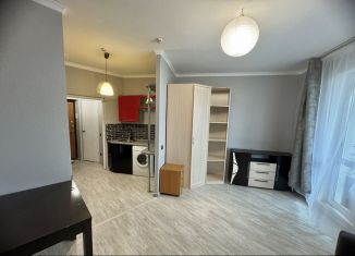 Сдам в аренду квартиру студию, 30 м2, Санкт-Петербург, Ленинский проспект, 114, ЖК Монплезир