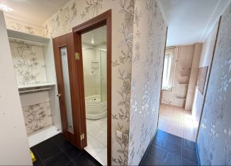 Продажа 1-комнатной квартиры, 31 м2, Санкт-Петербург, муниципальный округ Народный, Народная улица, 79