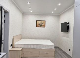 Аренда 2-комнатной квартиры, 50 м2, Сочи, Виноградная улица, 2/3, микрорайон Гагарина