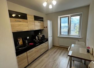 Сдается однокомнатная квартира, 31.2 м2, городской посёлок Янино-1, ЖК Новое Янино, Голландская улица, 10