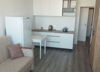 Сдается квартира студия, 26 м2, посёлок Шушары, Колпинское шоссе, 129