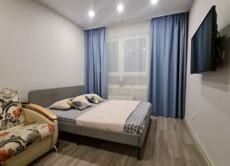 Сдается в аренду 1-ком. квартира, 38 м2, Республика Башкортостан, улица Энтузиастов, 15