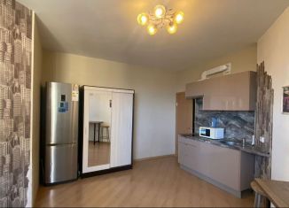 Сдаю квартиру студию, 25.3 м2, деревня Новое Девяткино, Капральская улица, 15, ЖК Озёрный