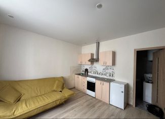 Сдаю в аренду квартиру студию, 26 м2, Сочи, улица Яна Фабрициуса, 23лит3, микрорайон Соболевка