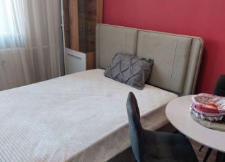 Сдаю в аренду квартиру студию, 20 м2, Ленинградская область, Воронцовский бульвар, 21к1