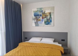 Сдается в аренду 1-комнатная квартира, 29 м2, Карелия, улица Фурманова, 63