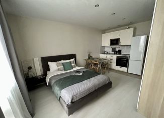 Сдаю в аренду квартиру студию, 22.9 м2, посёлок Парголово, улица Михаила Дудина, 10