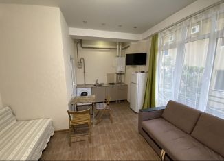 Сдаю квартиру студию, 27 м2, Сочи, улица Просвещения, 157/2, микрорайон Чкаловский