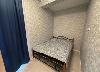 Сдаю в аренду однокомнатную квартиру, 30 м2, Сочи, садоводческое некоммерческое товарищество Агро, 193/1, микрорайон Яна Фабрициуса