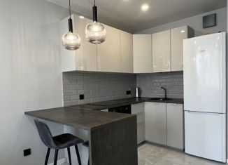 Сдается однокомнатная квартира, 40.3 м2, Екатеринбург, Хрустальногорская улица, метро Чкаловская