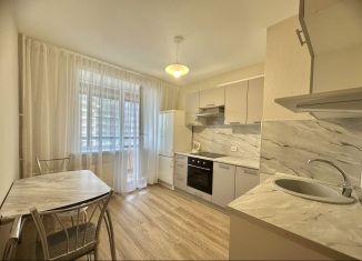 Сдается 1-комнатная квартира, 39 м2, посёлок Парголово, улица Фёдора Абрамова, 4