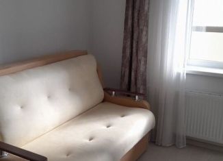 Сдается квартира студия, 26 м2, посёлок Шушары, Школьная улица, 17
