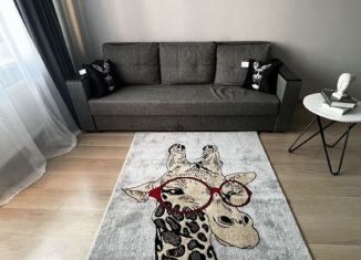 1-комнатная квартира в аренду, 31 м2, Удмуртия, улица имени 50-летия ВЛКСМ, 2