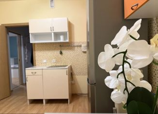 Сдам двухкомнатную квартиру, 54 м2, Мурино, улица Шоссе в Лаврики, 74к2