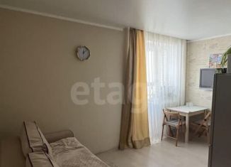 Продам квартиру студию, 23.2 м2, Санкт-Петербург, Школьная улица, 6, Приморский район