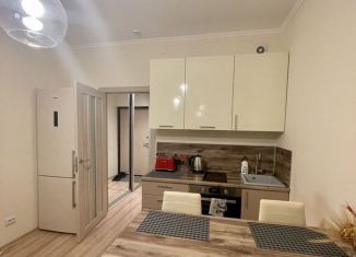 Квартира на продажу студия, 24 м2, Санкт-Петербург, проспект Большевиков, 22к3, Невский район