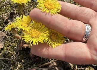 Продается земельный участок, 13 сот., посёлок Тярлево, Большая улица, 9