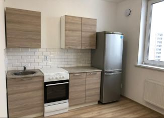 Сдаю в аренду квартиру студию, 27 м2, Екатеринбург, улица Рябинина, 47