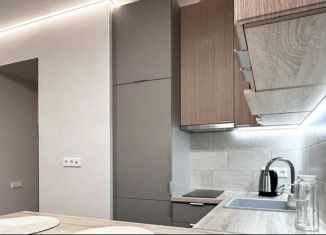 Сдается квартира студия, 27 м2, Москва, Ильменский проезд, 14к3, ЖК Селигер Сити