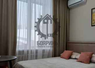 Сдается квартира студия, 17 м2, Екатеринбург, Красный переулок, 13