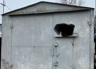 Гараж на продажу, 24 м2, Пушкин, Новодеревенская улица, уч1