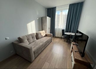 Сдам квартиру студию, 25 м2, Екатеринбург, улица Новостроя, 5