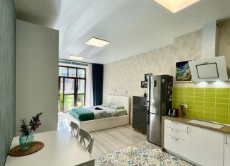 Продаю квартиру студию, 32.3 м2, Санкт-Петербург, Наличная улица, 26к6, ЖК Васильевский Квартал