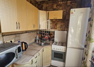 Продается двухкомнатная квартира, 45.6 м2, Санкт-Петербург, муниципальный округ Народный, Народная улица, 10