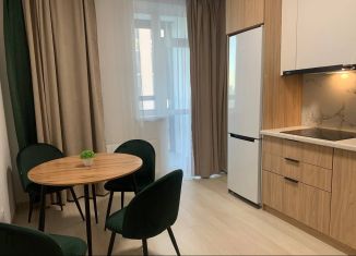 1-ком. квартира в аренду, 42.9 м2, Екатеринбург, проспект Космонавтов, 7Б, метро Динамо