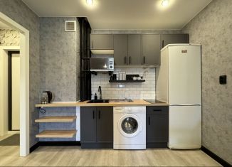 Сдается квартира студия, 28 м2, Мурино, проспект Авиаторов Балтики, 29к2
