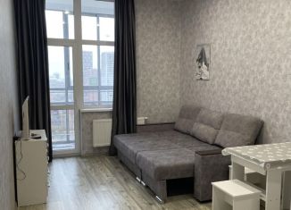 Аренда квартиры студии, 26 м2, Екатеринбург, Павлодарская улица, 5