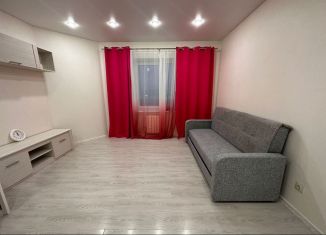 Однокомнатная квартира в аренду, 40 м2, деревня Куюки, Молодёжная улица, 21