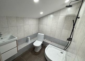 Продажа дачи, 120 м2, Санкт-Петербург, Заводская улица, 5АИ