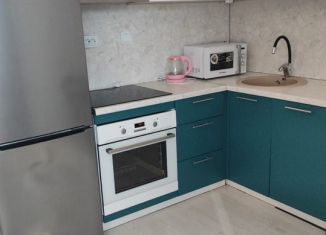 Аренда квартиры студии, 24 м2, Санкт-Петербург, Планерная улица, 95к1, ЖК Нью Тайм