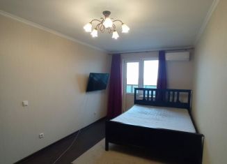 Сдается в аренду 1-ком. квартира, 43 м2, посёлок Шушары, Новгородский проспект, 10
