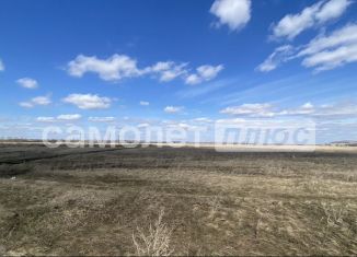 Продается земельный участок, 10 сот., деревня Старые Чути