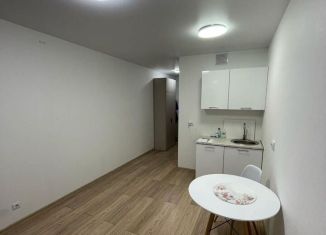 Аренда квартиры студии, 25 м2, Екатеринбург, улица Новостроя, 9