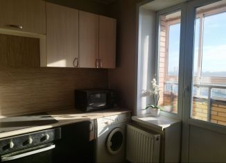Сдается в аренду 1-ком. квартира, 36 м2, Мурино, Новая улица, 7